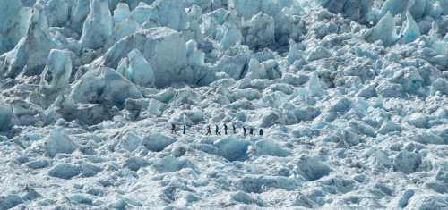 The best seasons to explore Franz Josef Glacier: What to expect and when to visit